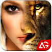 Morph Faces APK