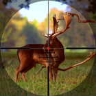 Jungle Animal Sniper Hunting ícone