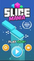 SLICE MANIA UNCHARTED FORTUNE! پوسٹر