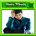 In My Blood - Shawn Mendes