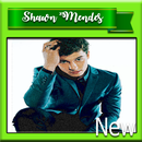 In My Blood - Shawn Mendes APK