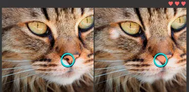 Find the Differences 200 levels free!