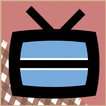 Botswana TV
