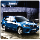 X5 Driving Simulator icon