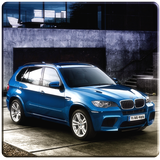 X5 Driving Simulator আইকন