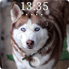 Husky Lock Screen icône