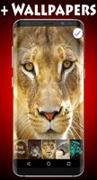 Lions Lock Screen اسکرین شاٹ 2