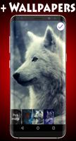 Wolf Lock Screen captura de pantalla 2