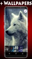 Wolf Lock Screen syot layar 2