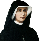 Santafaustina.es icono