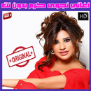 اغاني نجوى كرم بدون نت 2018 - Najwa Karam APK