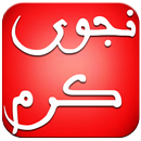 اغاني نجوى كرم  بدون انترنت APK