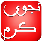 اغاني نجوى كرم  بدون انترنت-icoon