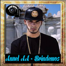 APK Brindemos letra - Anuel AA