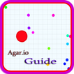 ”Guide for Agar.io Expert