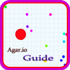 Guide for Agar.io Expert icône