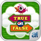 True Or False 图标