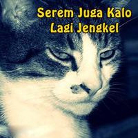 Gambar DP Jengkel Poster