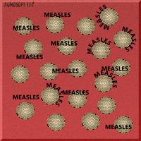 Measles پوسٹر