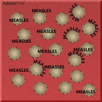 Measles اسکرین شاٹ 1