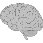 Brain Bash icon