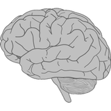 Brain Bash 图标