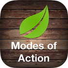Modes of Action ไอคอน