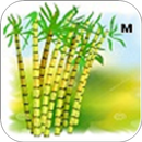 Sugarcane Marathi APK