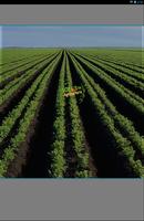 Radio Agricultura 101.3 FM 海報