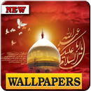 Latest live karbala walpaper APK