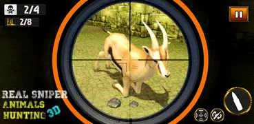 real 3D hunting action animal