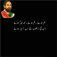 MIR TAQI MIR POETRY COLLECTION پوسٹر