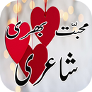 Mohabbat Bhari Shayari APK