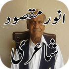 Anwar Masood Urdu Shayari-icoon