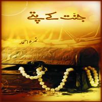 Jannat Kay Pattay الملصق