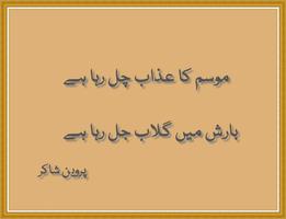 Parveen Shakir Poetry poster