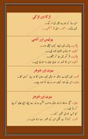 Urdu Funny Lateefay โปสเตอร์