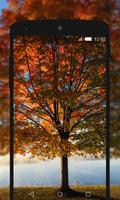 برنامه‌نما Wallpapers Autumn HD (backgrounds & themes) عکس از صفحه