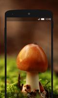 Mushroom Wallpapers HD (backgrounds & themes) capture d'écran 3
