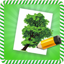 How To Draw :Trees APK