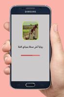 رواية أحلى صدفة بحياتي - كاملة Cartaz