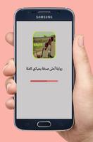 رواية أحلى صدفة بحياتي - كاملة Affiche