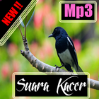 Suara Kacer mp3 icône