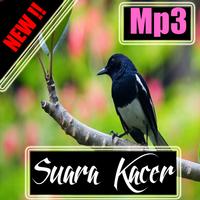 Suara Kacer mp3 Affiche