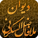 دیوان ملافاضل السَّکراني HD APK