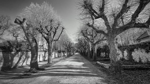 Black and white wallpaper hd apk screenshot Black and white wallpaper hd apk screenshot