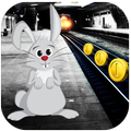 Subway Bunny Run