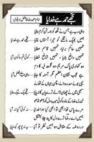 برنامه‌نما Naat-E-Rasool Urdu Lyrics P-1 عکس از صفحه