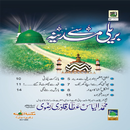 Bareli Se Madinah Urdu APK