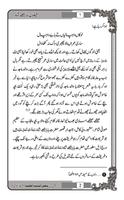 Faizane Baba Bulle Shah Urdu capture d'écran 2